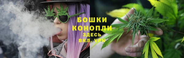 гашик Заволжье