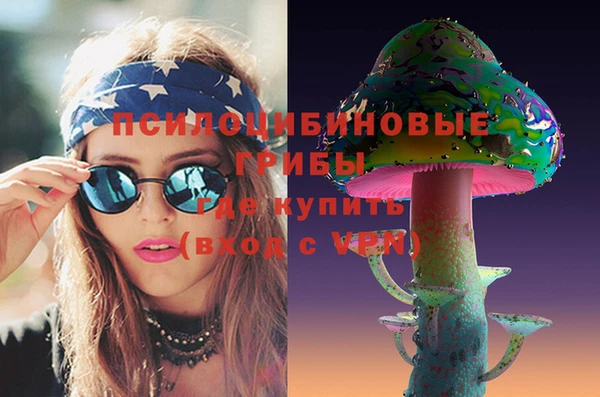 таблы Пересвет
