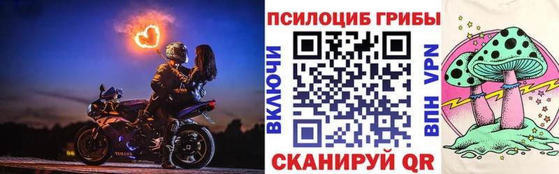 Псилоцибиновые грибы мухоморы  где найти наркотики  hydra как войти  Салехард 